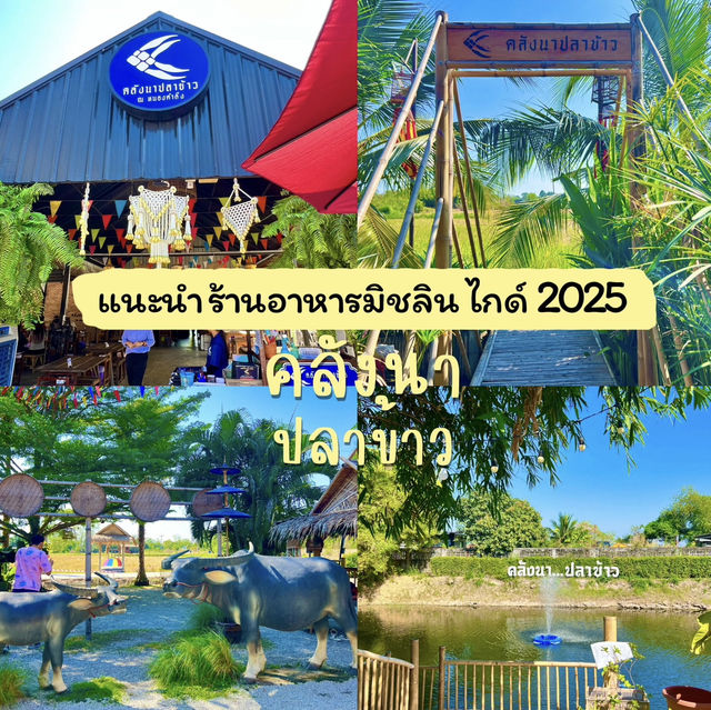 แนะนำร้านอาหารมิชลิน ไกด์ “คลังนาปลาข้าว”