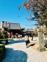 【東京】淺草寺：東京最古老的寺廟，濃厚的日本風情