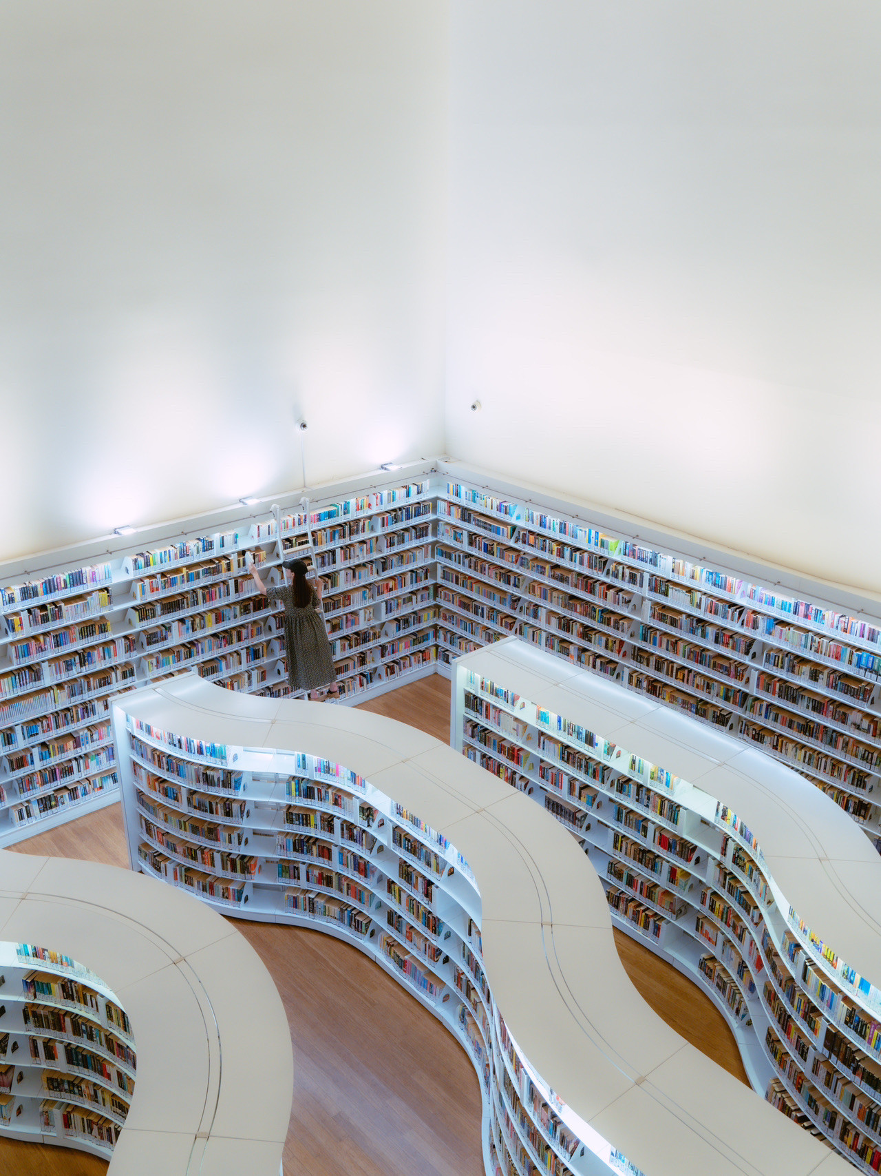 シンガポール⦆ library@orchard～曲線状の本棚が美しいフォト 