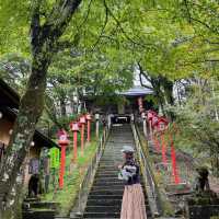 ペットの健康祈願が出来る神社