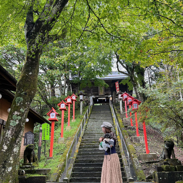 ペットの健康祈願が出来る神社