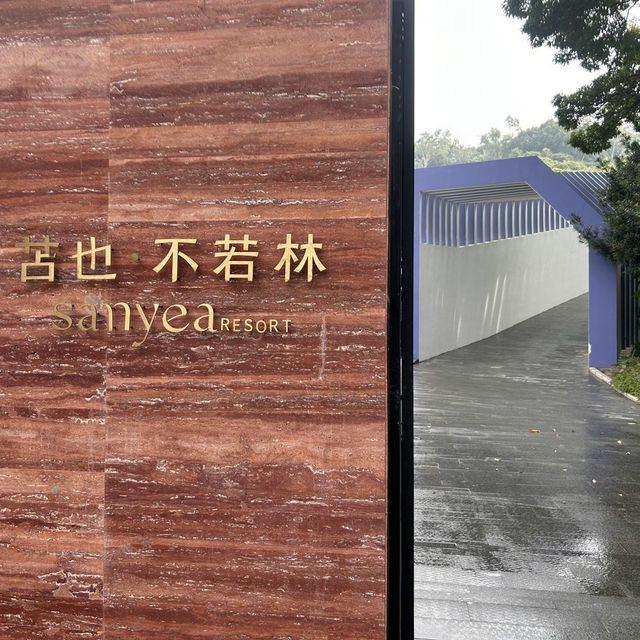 不是去了日本，不是去了泰國，不是去了希臘，是在深圳！！！😱🥰🥰