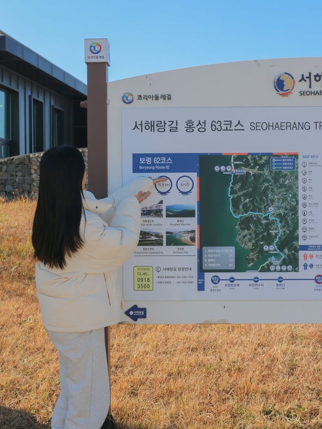 바다부터 체험까지, 겨울에 더 즐거운 보령여행🌊❄️🩵