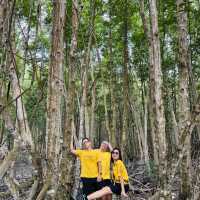 Ca Mau Primeval forest park 