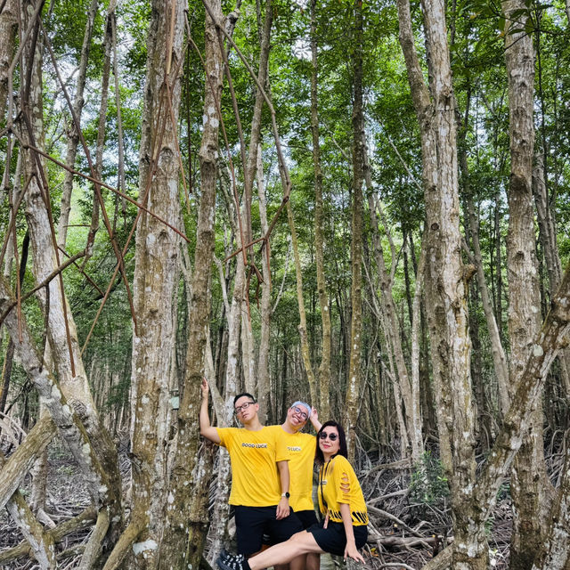 Ca Mau Primeval forest park 