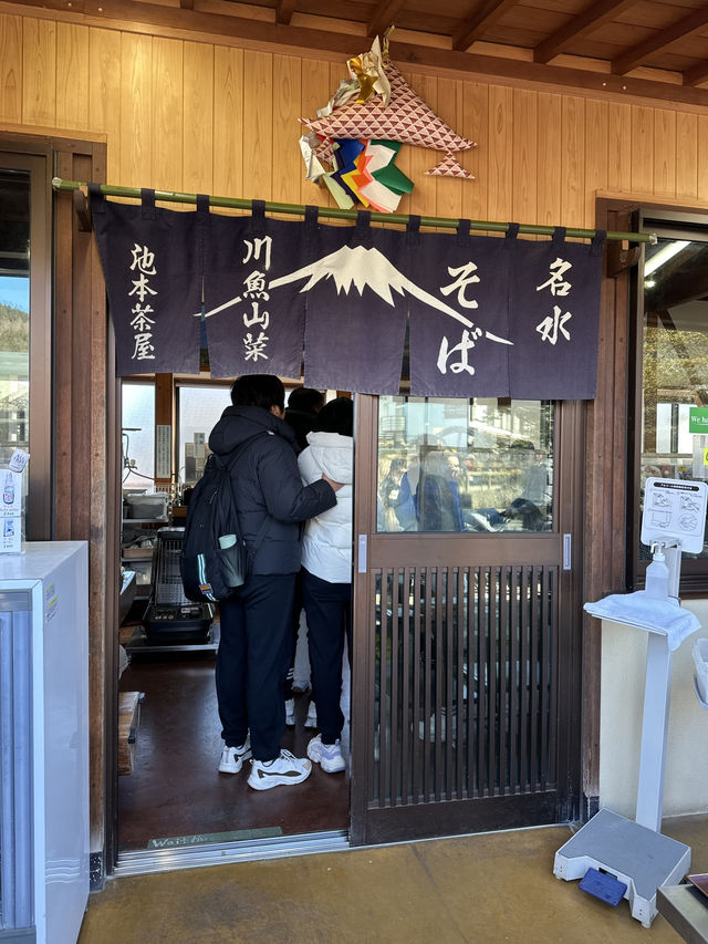 🇯🇵忍野八海｜遊富士山融雪湧泉🏔️