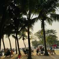 深圳灣公園｜12月深圳的浪漫是日落和海鷗給的