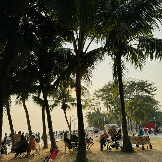 深圳灣公園｜12月深圳的浪漫是日落和海鷗給的