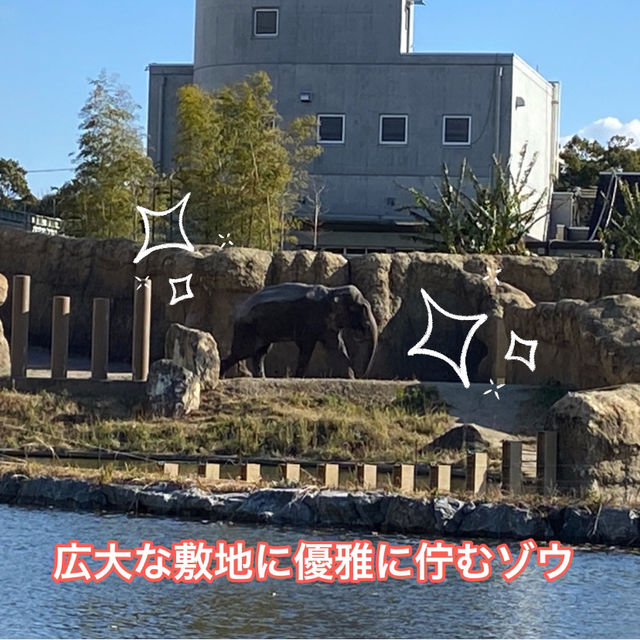 動物に癒されよう！のんほいパーク(豊橋総合動植物公園）