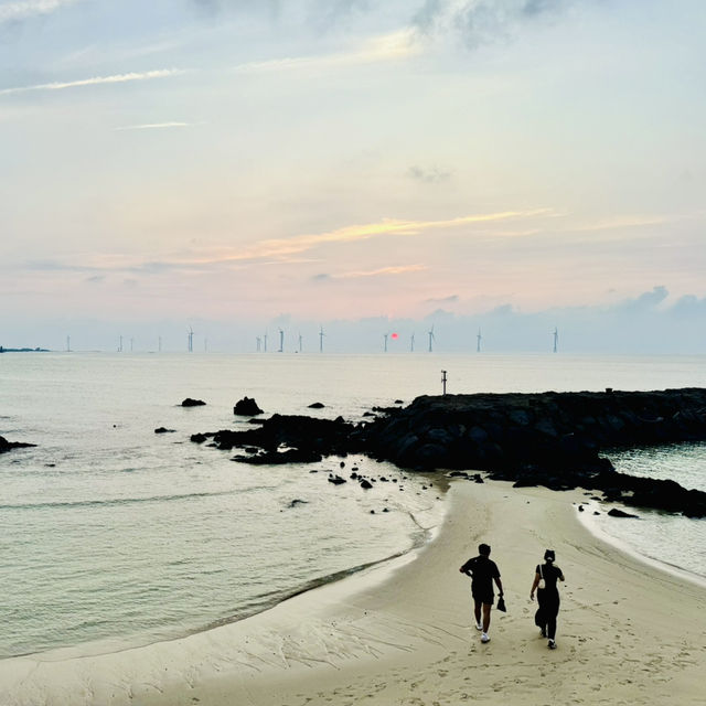 How to hike around Jeju 🇰🇷 🥾 