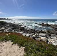 Monterey: Where Coastal Beauty Meets Timeless Charm