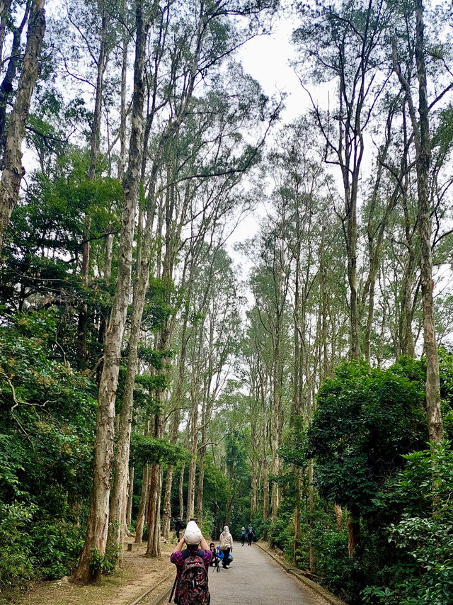 🏞️城門水塘|香港行山好去處🚶🏻😀 🏞️城門水塘|香港行山好去處🚶🏻😀