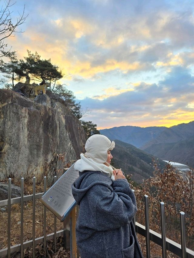 호랑이 기운받는 봉화에서 특별한 해맞이💛