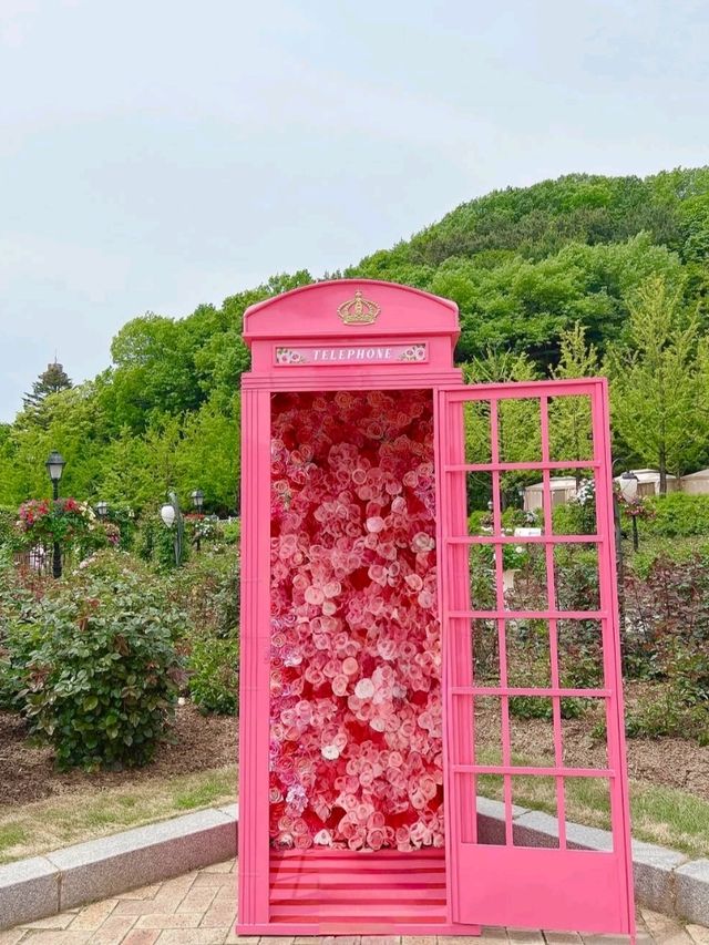 A Garden Wonderland of Whimsy and Adventure