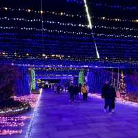 🇯🇵【香川県】国営さぬきまんのう公園！イルミネーション
