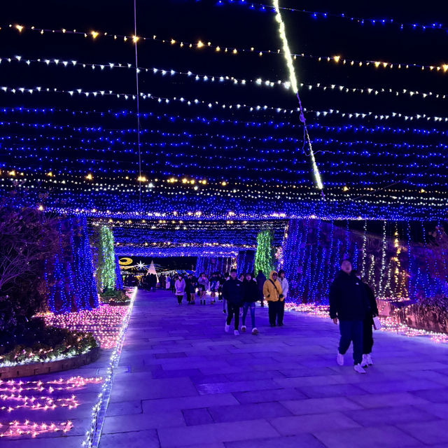 🇯🇵【香川県】国営さぬきまんのう公園！イルミネーション
