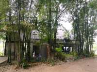 Ryokan Cafe ร้านกาแฟเรียวกัง คาเฟ่เชียงราย