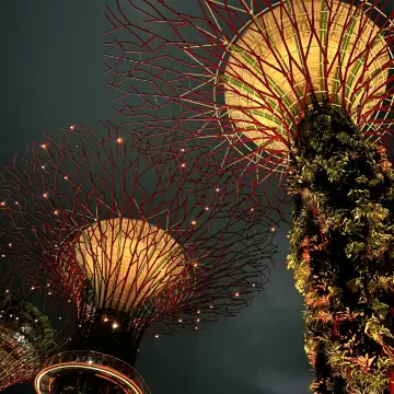 新加坡濱海灣花園擎天樹燈光秀，接駁車資訊在這裡