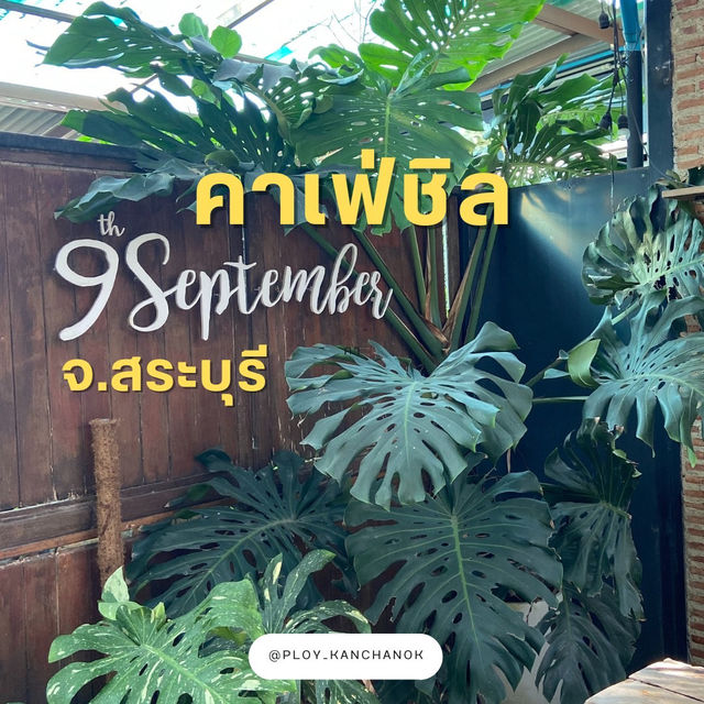 9 September กาแฟเขาใหญ่ สระบุรี
