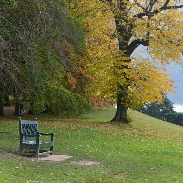 Chatsworth house🍂