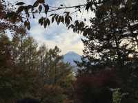 在新倉山淺間公園邂逅富士山的震撼之美 🌸🏔️