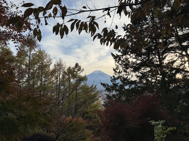 在新倉山淺間公園邂逅富士山的震撼之美 🌸🏔️