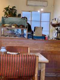 Sunbear Coffee