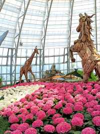 Vinpearl Theme Park: A Family Adventure in Nha Trang