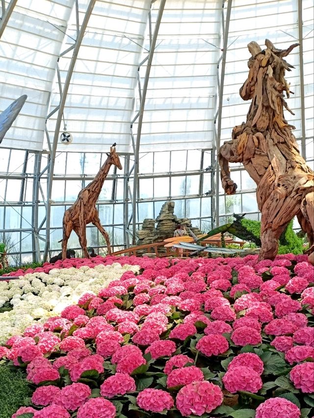 Vinpearl Theme Park: A Family Adventure in Nha Trang