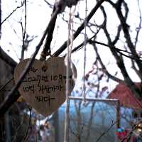 韓國大邱_ 必訪 팔공산 케이블카八公山纜車_享受楓紅黃杏 山巒間