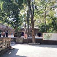 ‘วัดอุโมงค์’ วัดบรรยากาศดี เที่ยวแล้วสบายใจ