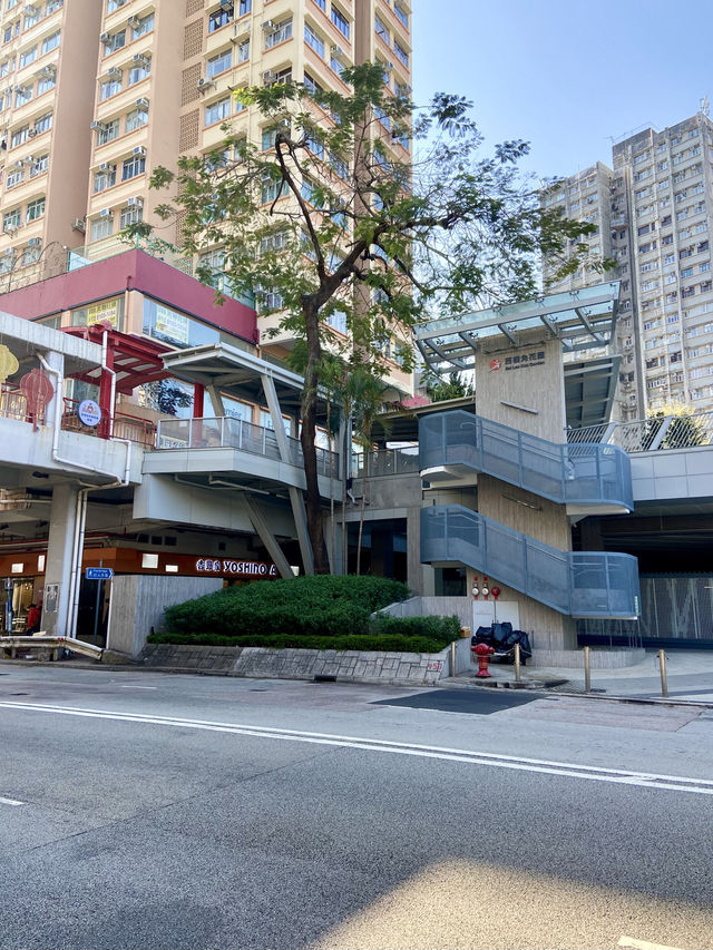 🐈📸香港拍照打卡聖地😻佈滿貓貓的「西樓角花園🌸🌹」