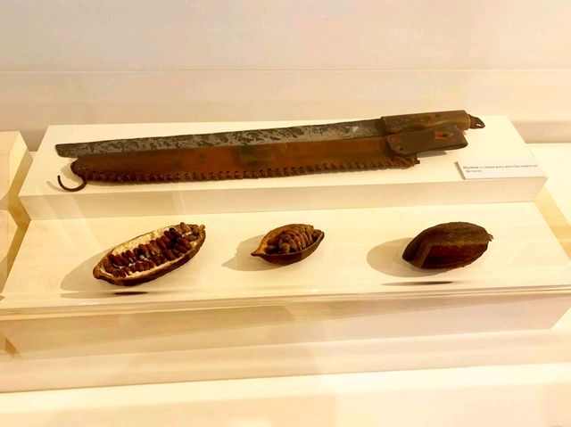 非常適合帶孩子去的博物館