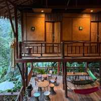 Tree House Hideaway, เชียงใหม่