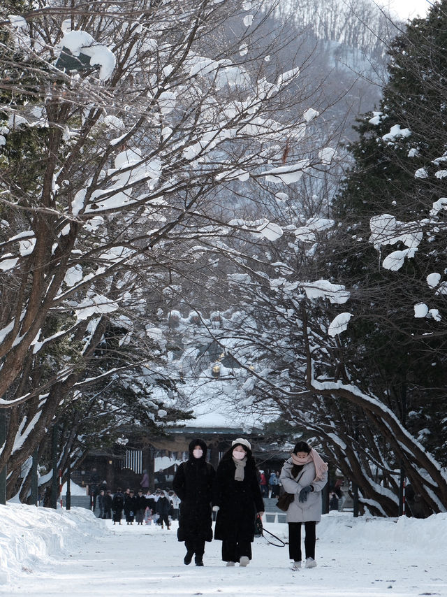 雪國的靜謐聖地—冬日北海道神宮參訪體驗