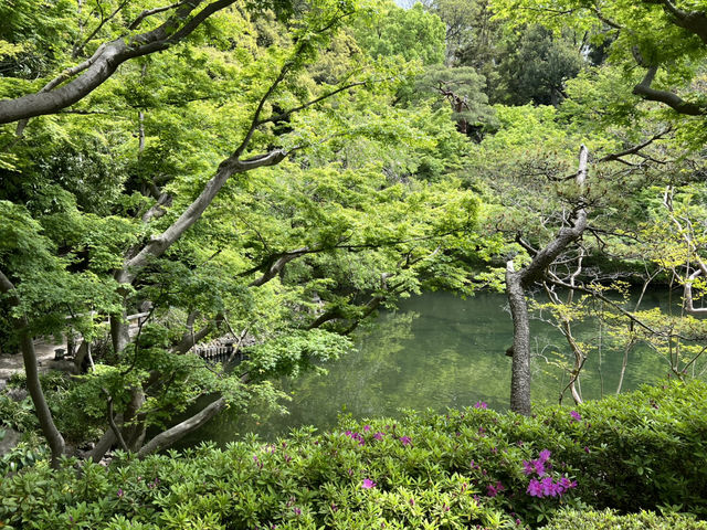 Lunch at Happo-en: A Perfect Day Out🌿