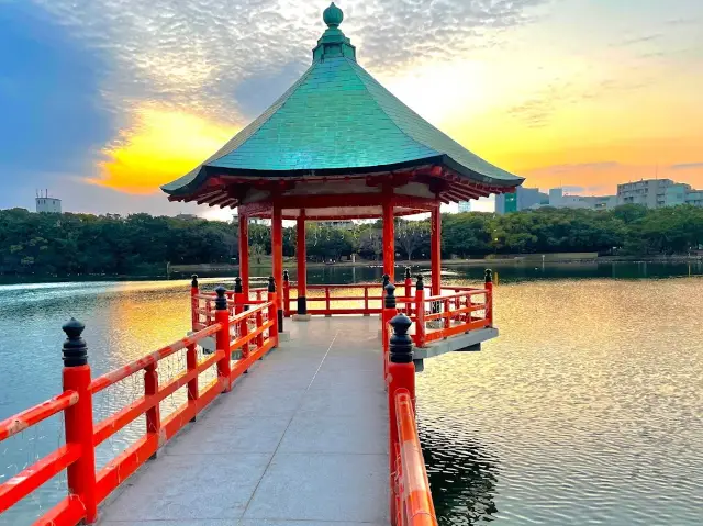 ︎福岡︎ 福岡第一名的都市公園