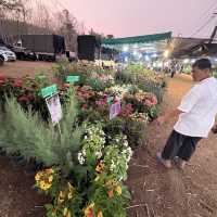 งานมีจฉาบานตำนานเขาสมิงครั้งที่4