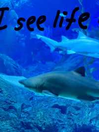 SEA LIFE Bangkok Ocean World