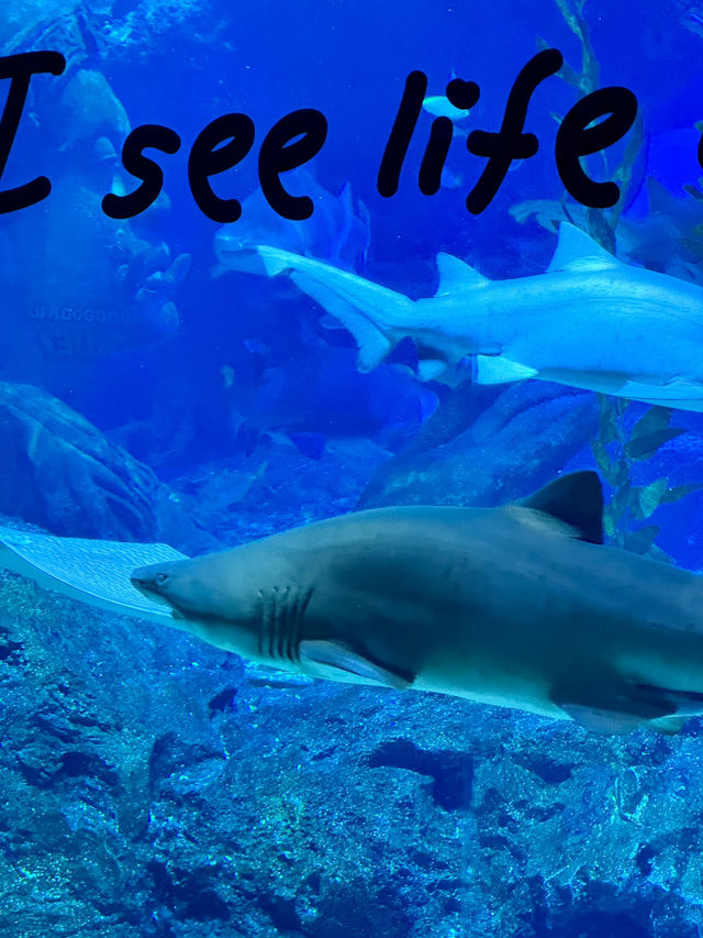 SEA LIFE Bangkok Ocean World