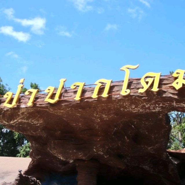 วัดป่าปากโดม อ.พิบูลมังสาหาร