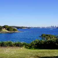 澳洲最古老漁村 - 沃森灣 Watson Bay