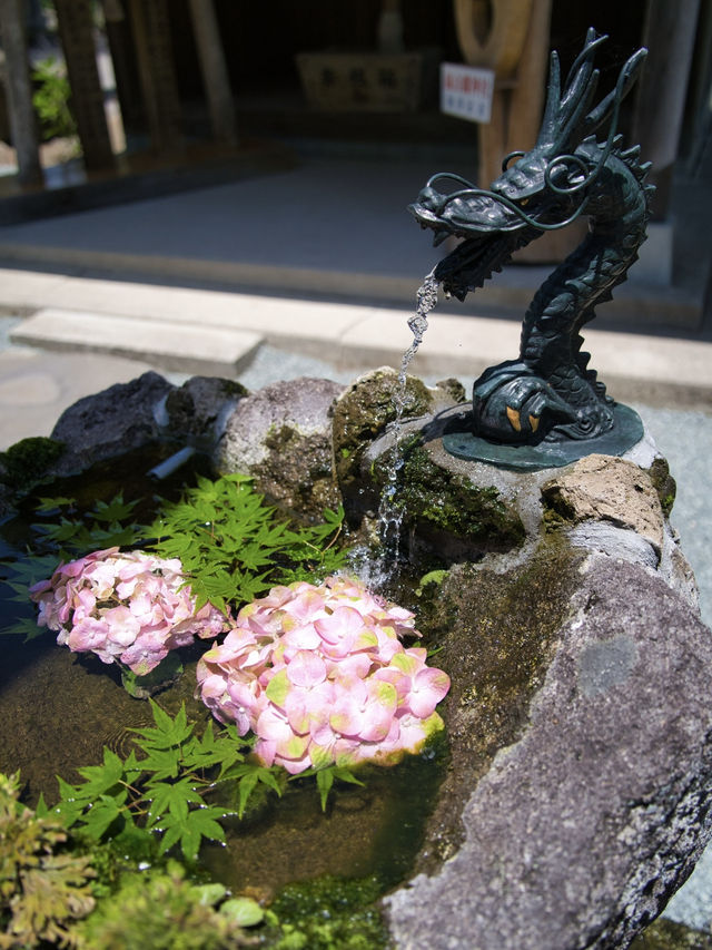 【大分】縁結びのパワースポット💪花手水もある神社で良縁祈願💐 