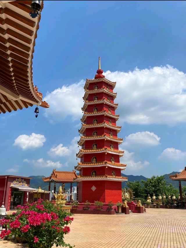 萬佛寺‐靜謐與浪漫的靈性約會地點🕊️💖