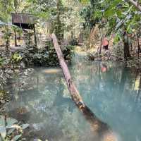 游览猜也奔府南普塔老（Nam Phut Thap Lao）天然泉眼瀑布 很多很出镜的地方