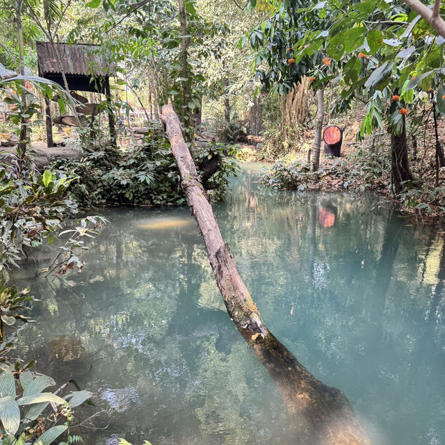 游览猜也奔府南普塔老（Nam Phut Thap Lao）天然泉眼瀑布 很多很出镜的地方
