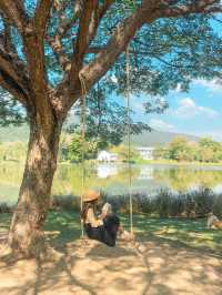 Fernpresso at lake คาเฟ่ vibe ดีย์ในเมืองเชียงใหม่
