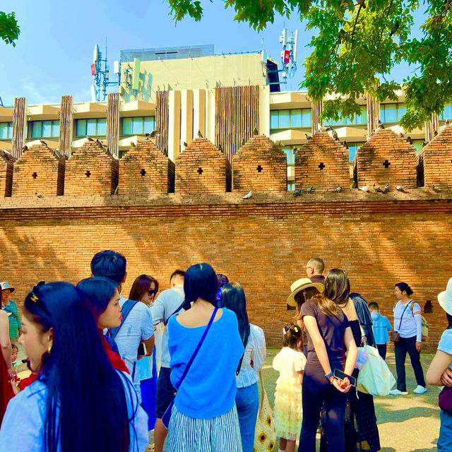 พากิน-เที่ยว เชียงใหม่ในครึ่งวัน