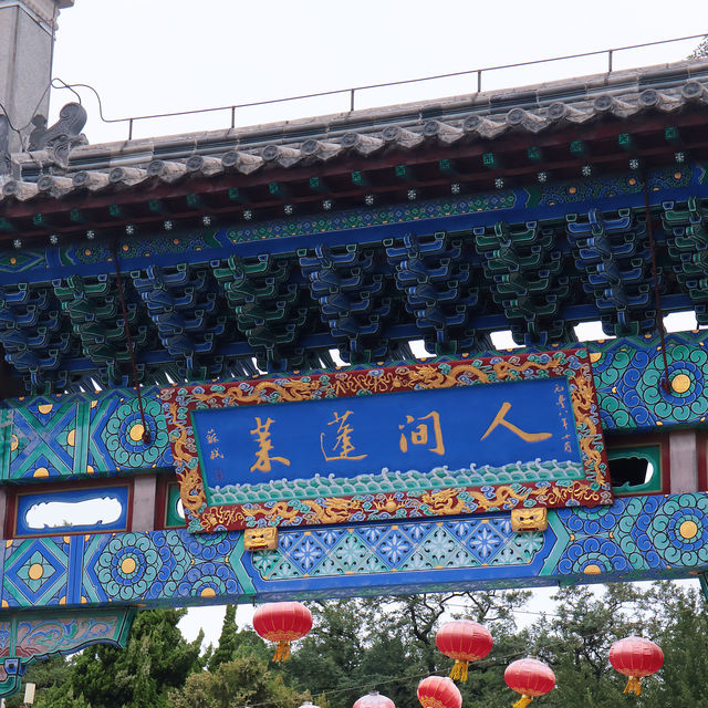 Exploring Yantai: A Coastal Gem in Shandong province 