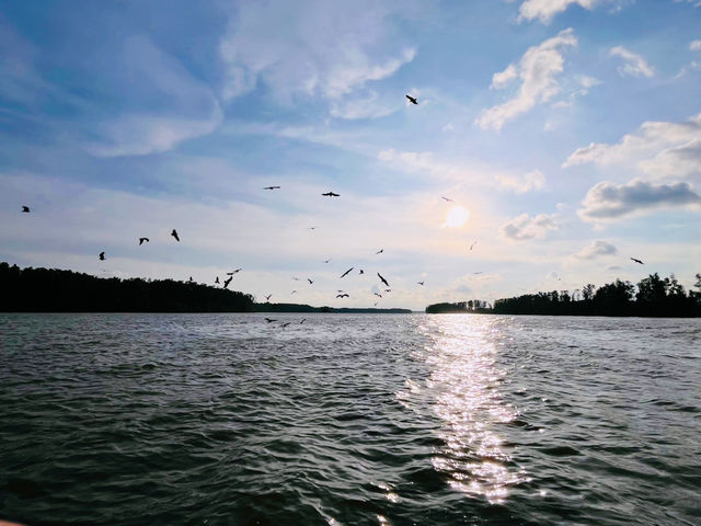 “Soar with the Eagles: Kuala Sepetang’s Thrilling Boat Ride & Feeding Experience!”
